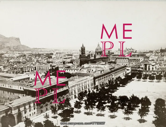 : View of the city and cathedral of Palermo, Italy : View of the city and cathedral of Palermo, Italy