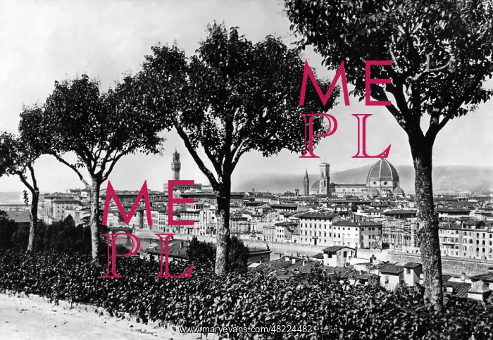 : View on the city of Florence : View on the city of Florence