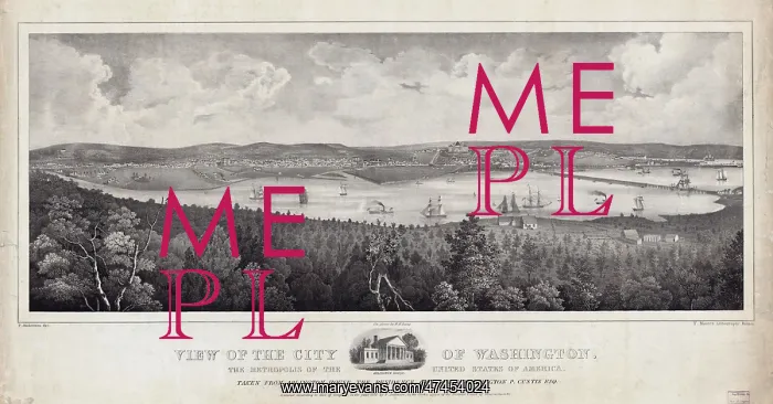 : View of the city of Washington, the metropolis of the United : View of the city of Washington, the metropolis of the United