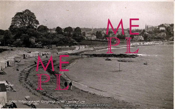 : View from Corbyn's Head, Torquay, Devon : View from Corbyn's Head, Torquay, Devon