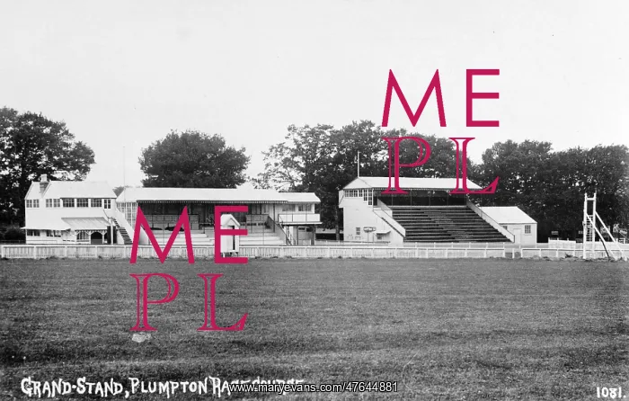  : View of course and stands, Plumpton racecourse