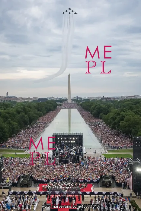 : View of the crowd at Donald Trumps Salute : View of the crowd at Donald Trumps Salute