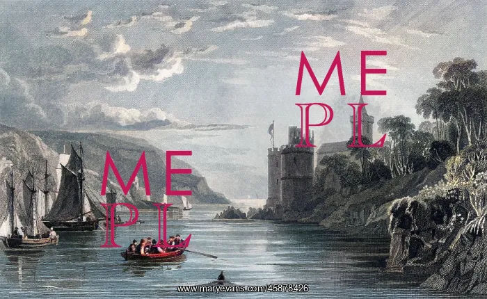 : View of Dartmouth Castle and Harbour, Devon : View of Dartmouth Castle and Harbour, Devon