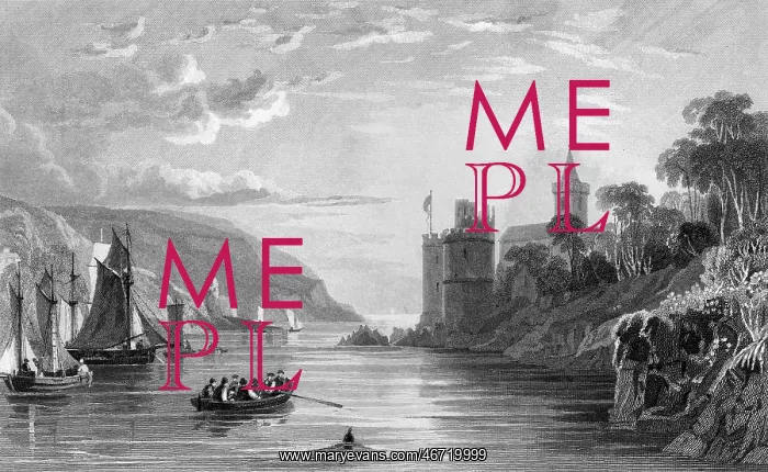: View of Dartmouth Castle and Harbour, Devon : View of Dartmouth Castle and Harbour, Devon