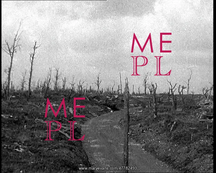 : View of a Desolated Countryside. Trees Are : View of a Desolated Countryside. Trees Are