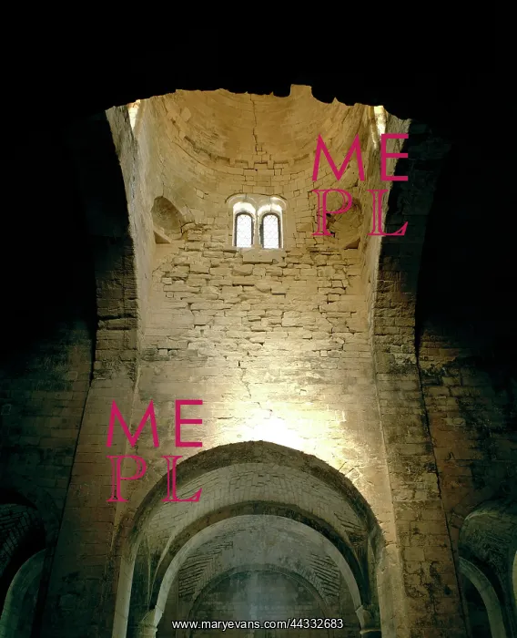: View of the dome interior : View of the dome interior