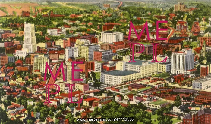  : View of Downtown Akron