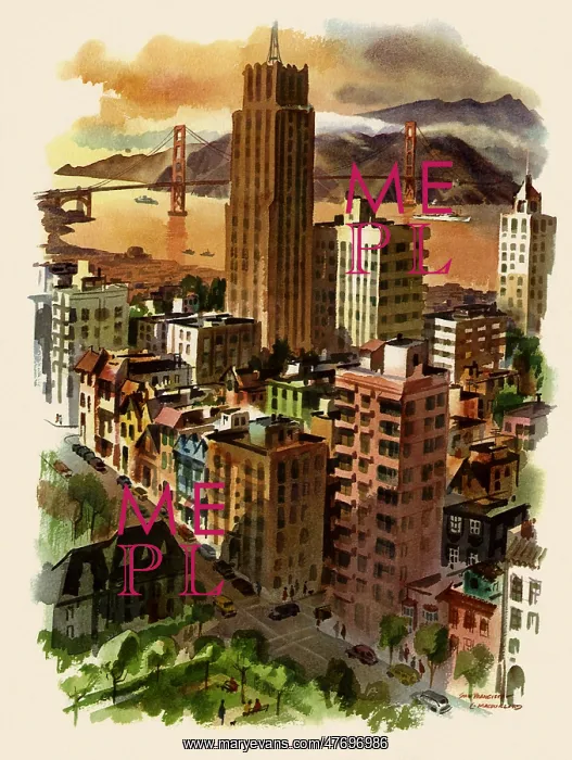 : View of Downtown San Francisco : View of Downtown San Francisco