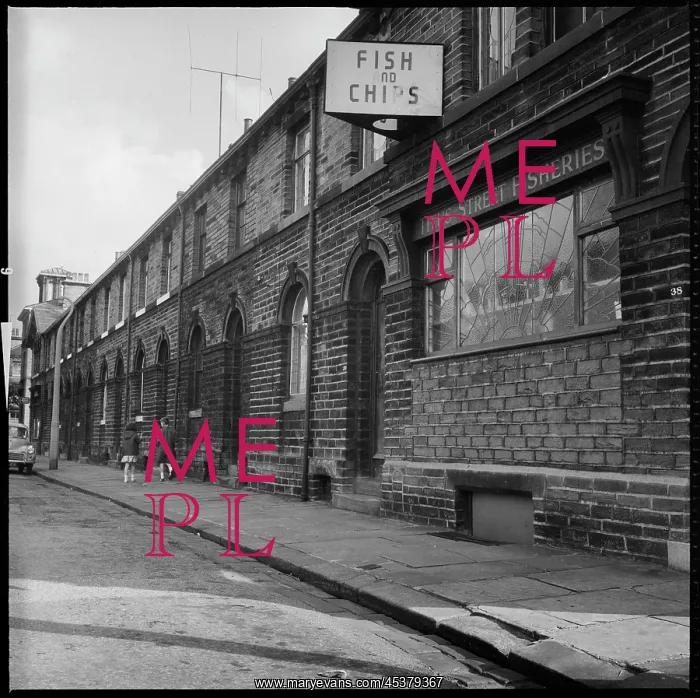 : View east along Titus Street : View east along Titus Street