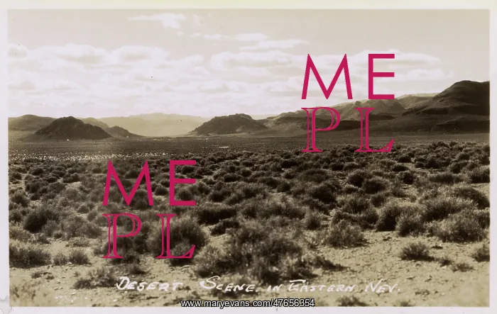 : View of the eastern Nevada Desert, USA : View of the eastern Nevada Desert, USA