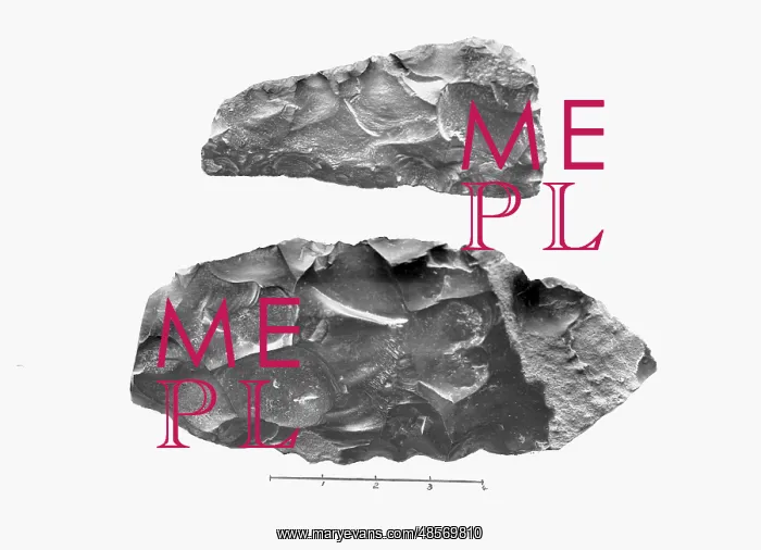 : A view of two Egyptian Palaeolithic flint implements : A view of two Egyptian Palaeolithic flint implements