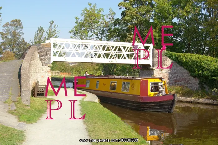 : View at Ellesmere Basin, Llangollen Canal : View at Ellesmere Basin, Llangollen Canal