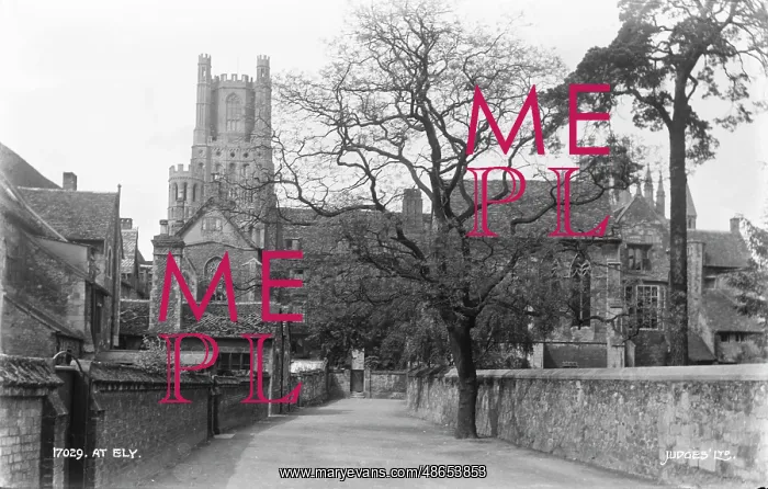 : View of Ely Cathedral : View of Ely Cathedral
