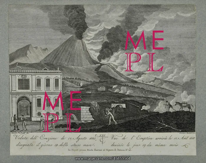 : View of the eruption of 12 August 1805 : View of the eruption of 12 August 1805