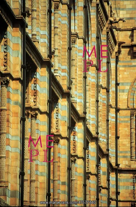 : Detail view of the exterior of the Waterhouse Building : Detail view of the exterior of the Waterhouse Building