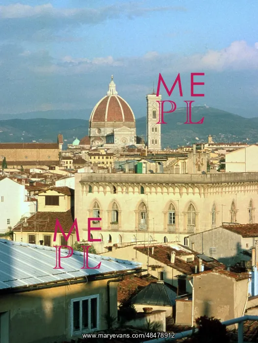 : View across Florence, Italy with the Duomo (Cathedral) : View across Florence, Italy with the Duomo (Cathedral)