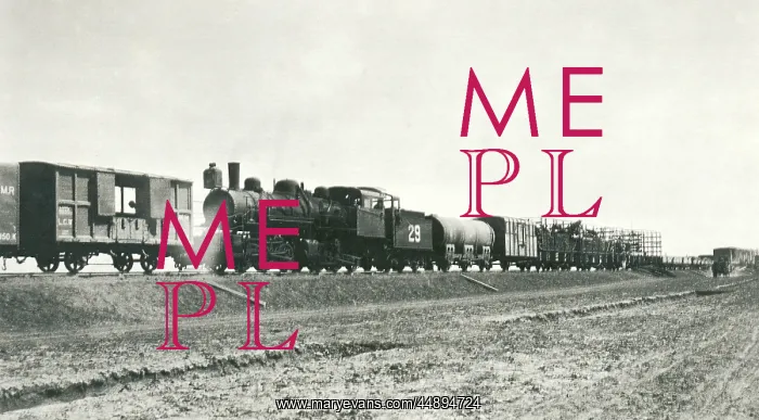 : View of a fully armed train, Iraq : View of a fully armed train, Iraq