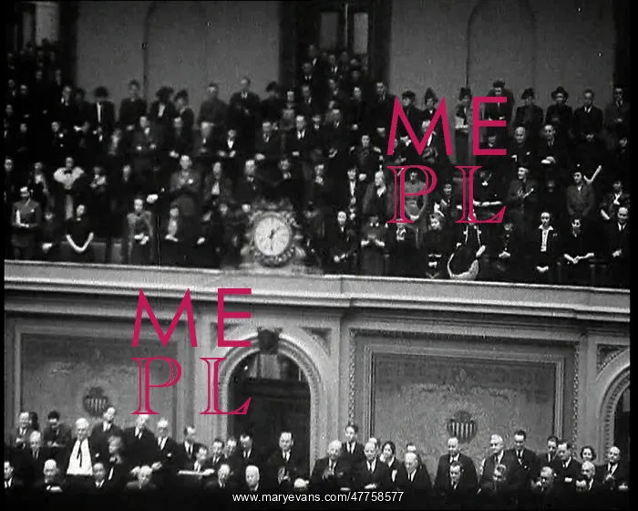 : View of the Gallery of the House Chambers Showing : View of the Gallery of the House Chambers Showing
