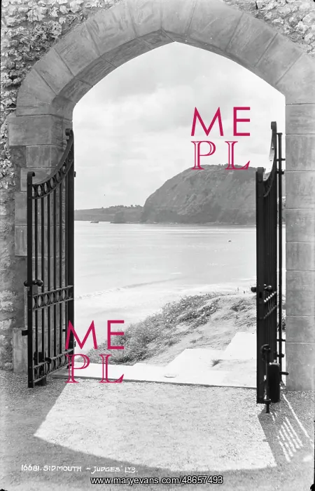 : View Through the Gate : View Through the Gate