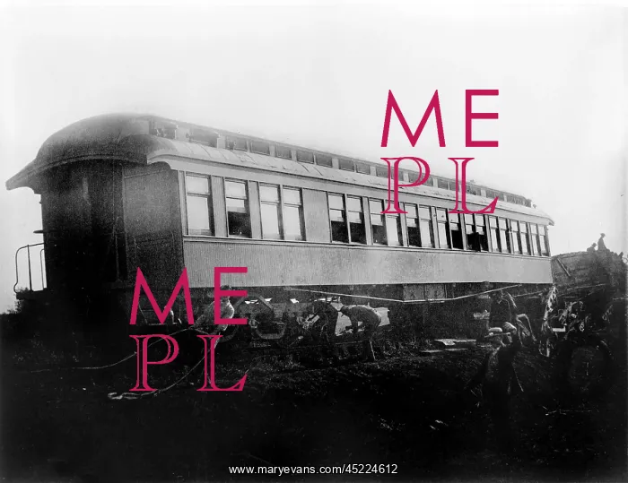 : View of the great railroad wreck, Chatsworth ? : View of the great railroad wreck, Chatsworth ?