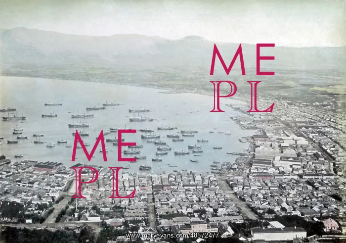  : View of Hakodate harbour, Japan, circa 1880s