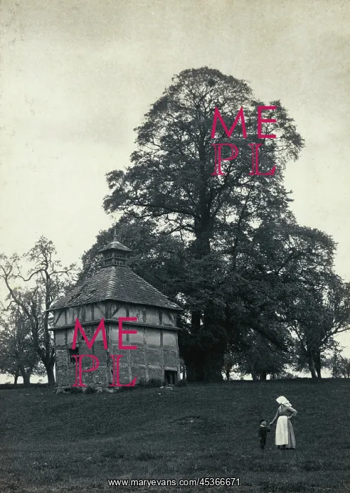 : View of a half-timbered dovecote at Oddingley : View of a half-timbered dovecote at Oddingley