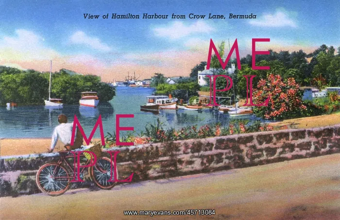 : View of Hamilton Harbour from Crow Lane, Bermuda : View of Hamilton Harbour from Crow Lane, Bermuda