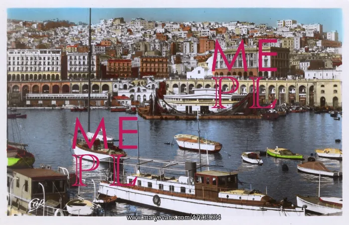 : View of the harbour, Algiers, Algeria : View of the harbour, Algiers, Algeria