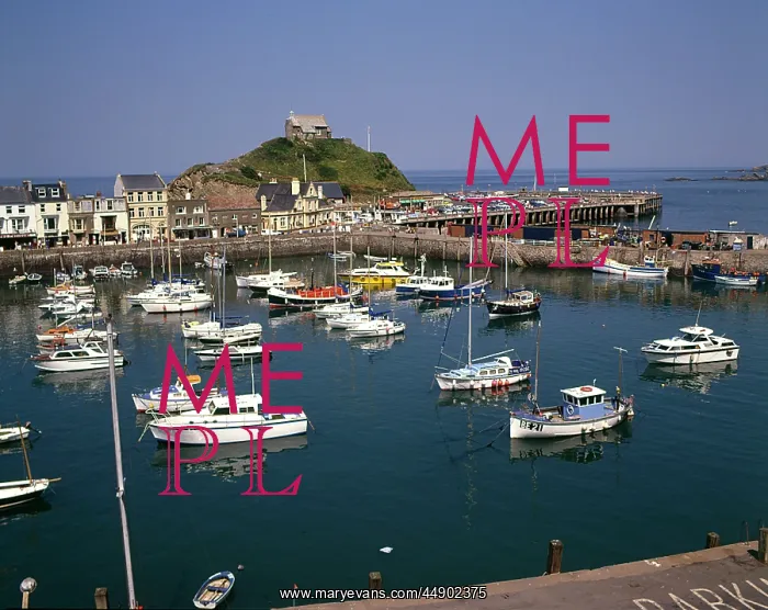 : View of the harbour, Ilfracombe, Devon : View of the harbour, Ilfracombe, Devon