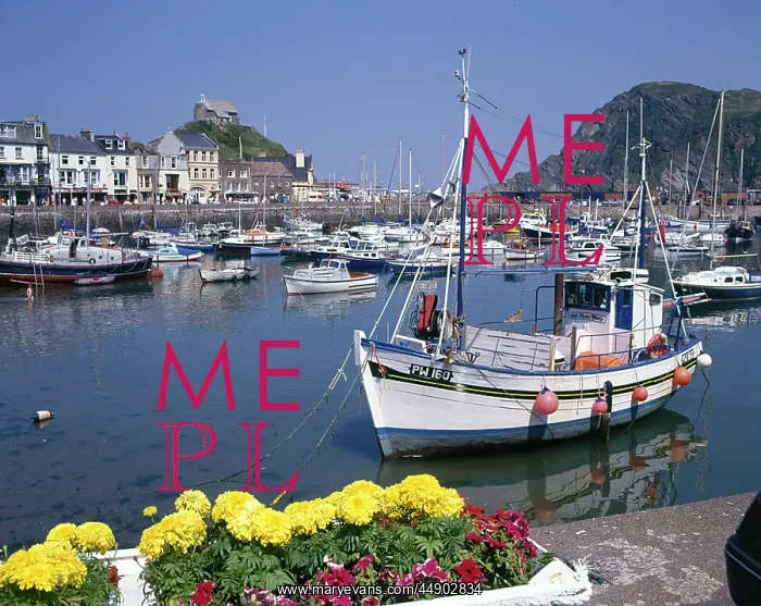 : View of the harbour, Ilfracombe, Devon : View of the harbour, Ilfracombe, Devon