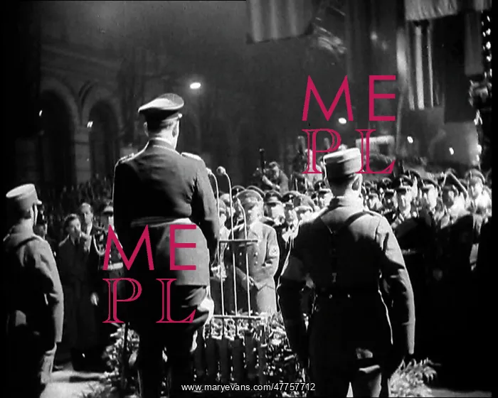 : A Back View of Herman Goering Giving a Speech : A Back View of Herman Goering Giving a Speech