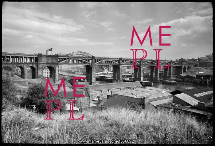 : A view of the High Level Bridge, a combined road : A view of the High Level Bridge, a combined road