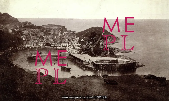  : View of Ilfracombe from Hillsborough, Devon