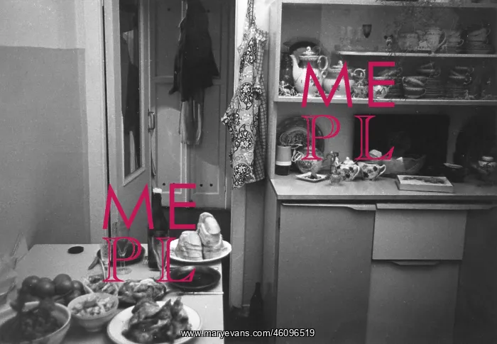 : View inside a kitchen, Moscow, Russia