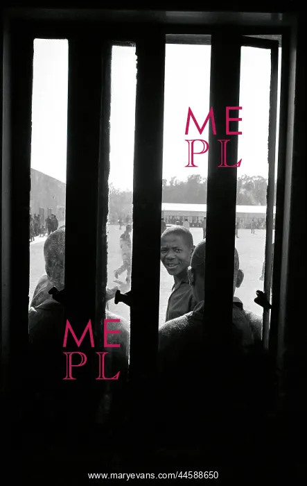 : View from inside, looking out through the bars : View from inside, looking out through the bars