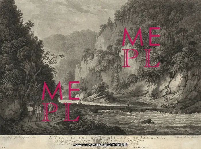 : A view in the island of Jamaica, of the bridge crossing the : A view in the island of Jamaica, of the bridge crossing the