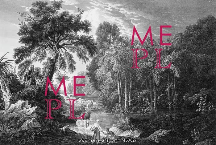 : A view in the Island of Jamaica, of the spring-head of Roari : A view in the Island of Jamaica, of the spring-head of Roari