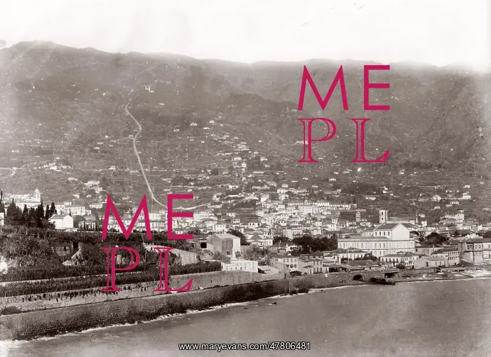 : View of the island of Madeira, Portugal : View of the island of Madeira, Portugal