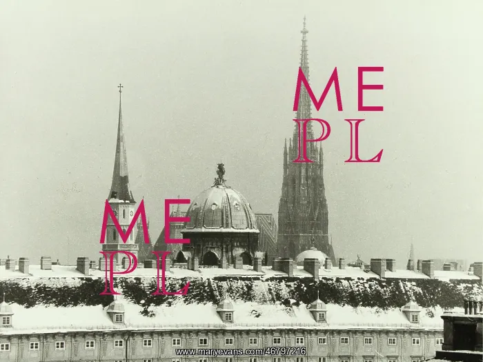 : View from the Justizpalast to St. Stephen's cathedral : View from the Justizpalast to St. Stephen's cathedral