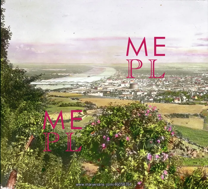 : View from the Kahlenberg : View from the Kahlenberg