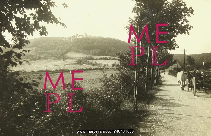 : View to the Kahlenberg : View to the Kahlenberg