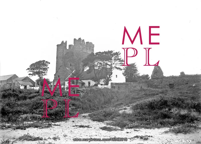 : View of Kilclief castle and surrounding buildings : View of Kilclief castle and surrounding buildings