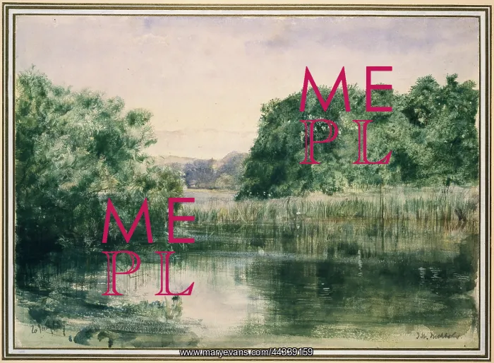 : View of a Lake with Trees : View of a Lake with Trees