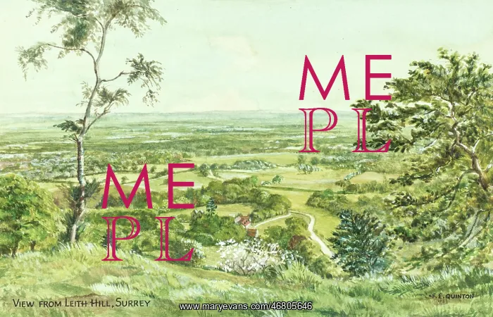  : View from Leith Hill, Surrey