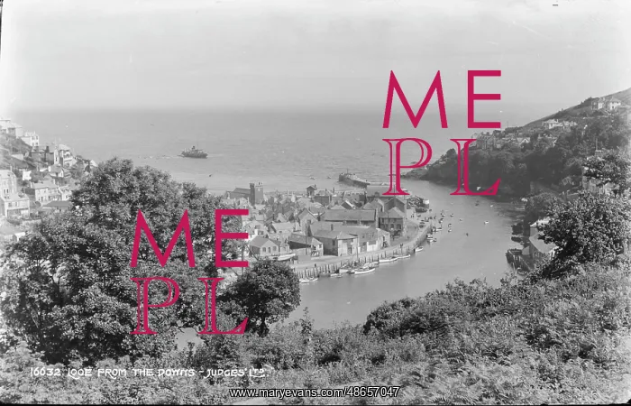 : View of Looe from the Points : View of Looe from the Points