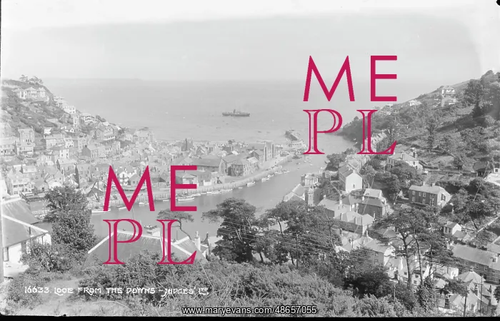 : View of Looe from the Points : View of Looe from the Points