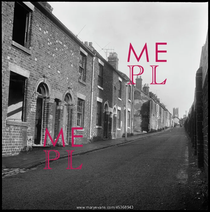 : A view looking east along the derelict terraced : A view looking east along the derelict terraced