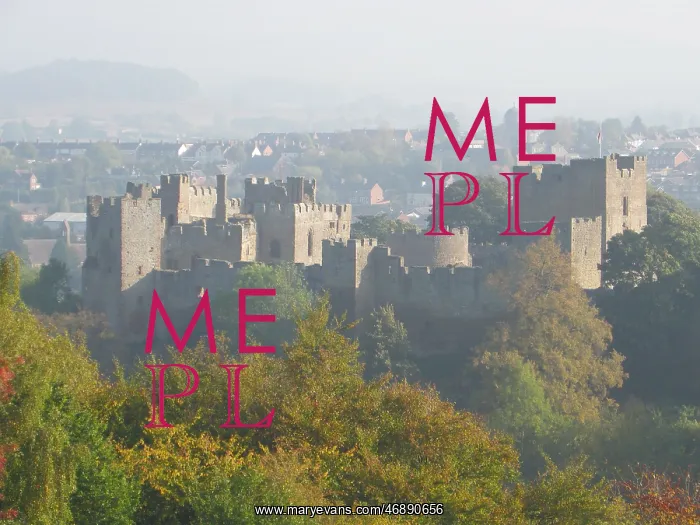 : View of Ludlow Castle, Shropshire : View of Ludlow Castle, Shropshire