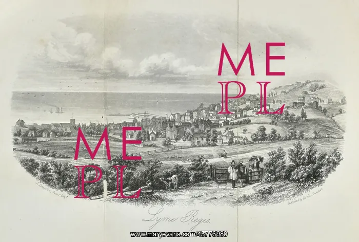 : View of Lyme Regis : View of Lyme Regis
