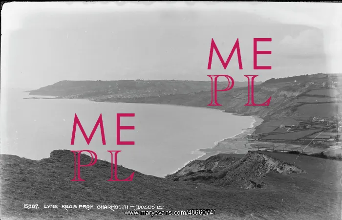 : View of Lyme Regis from Charmouth : View of Lyme Regis from Charmouth